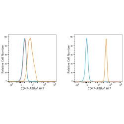 ABflo® 647 Rabbit anti-Human CD47 mAb