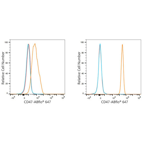 ABflo® 647 Rabbit anti-Human CD47 mAb