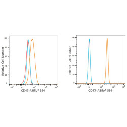 ABflo® 594 Rabbit anti-Human CD47 mAb
