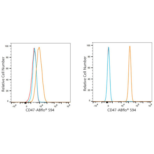 ABflo® 594 Rabbit anti-Human CD47 mAb