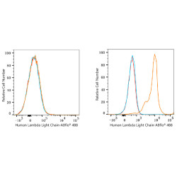 ABflo® 488 Rabbit anti-Human Lambda Light Chain mAb