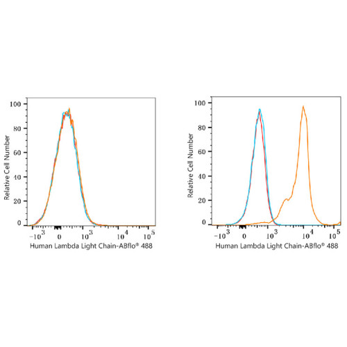 ABflo® 488 Rabbit anti-Human Lambda Light Chain mAb