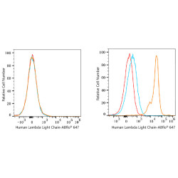 ABflo® 647 Rabbit anti-Human Lambda Light Chain mAb
