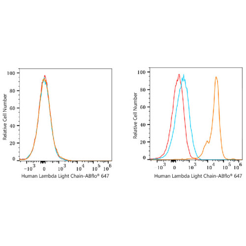 ABflo® 647 Rabbit anti-Human Lambda Light Chain mAb