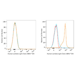 ABflo® 594 Rabbit anti-Human Lambda Light Chain mAb