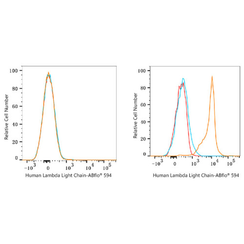 ABflo® 594 Rabbit anti-Human Lambda Light Chain mAb