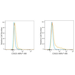 ABflo® 488 Rabbit anti-Human CD62E/E-Selectin mAb