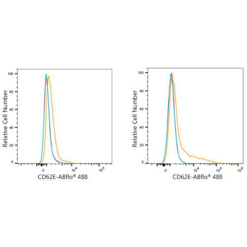 ABflo® 488 Rabbit anti-Human CD62E/E-Selectin mAb