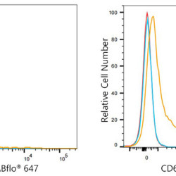 ABflo® 647 Rabbit anti-Human CD62E/E-Selectin mAb