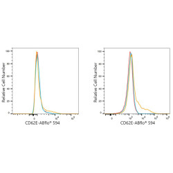 ABflo® 594 Rabbit anti-Human CD62E/E-Selectin mAb