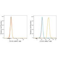 ABflo® 488 Rabbit anti-Human CD105/Endoglin mAb
