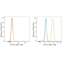 ABflo® 488 Rabbit anti-Human CD105/Endoglin mAb