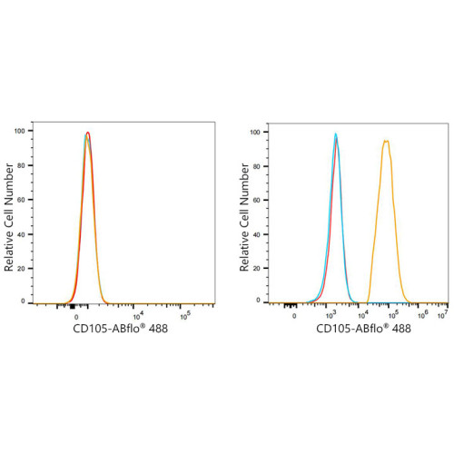 ABflo® 488 Rabbit anti-Human CD105/Endoglin mAb