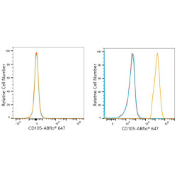 ABflo® 647 Rabbit anti-Human CD105/Endoglin mAb