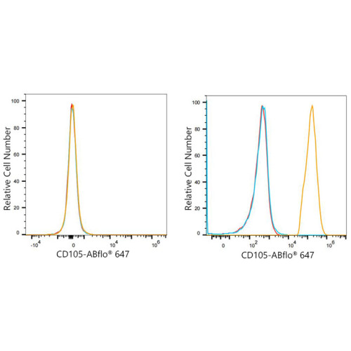 ABflo® 647 Rabbit anti-Human CD105/Endoglin mAb