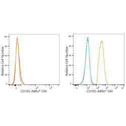 ABflo® 594 Rabbit anti-Human CD105/Endoglin mAb