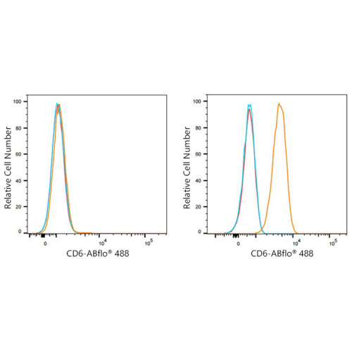 ABflo® 488 Rabbit anti-Human CD6 mAb