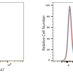 ABflo® 647 Rabbit anti-Human CD112/Nectin-2 mAb