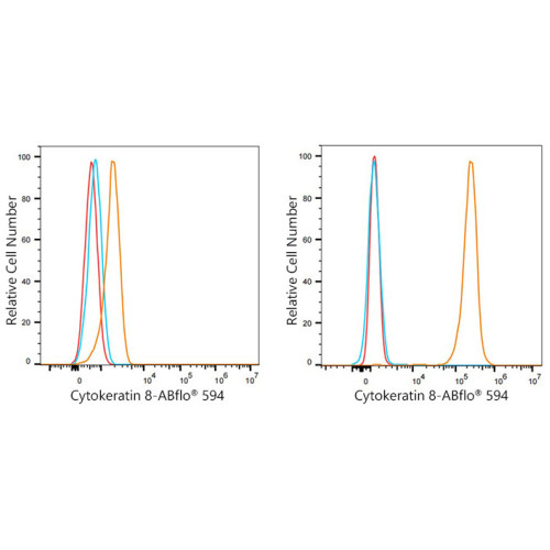 ABflo® 594 Rabbit anti-Human Cytokeratin 8/KRT8 mAb