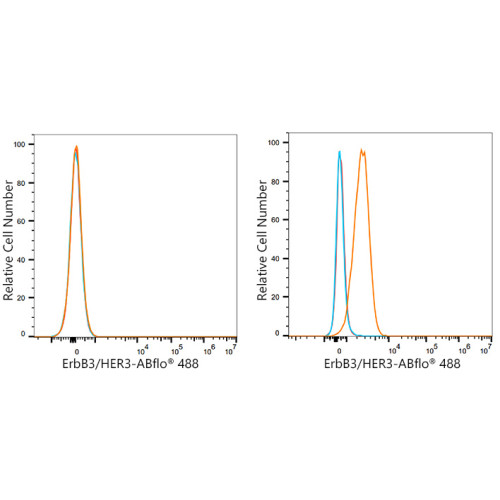 ABflo® 488 Rabbit anti-Human HER3/ErbB3 mAb