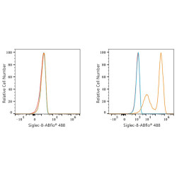 ABflo® 488 Rabbit anti-Human Siglec-8 mAb