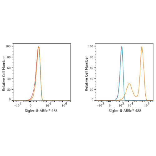 ABflo® 488 Rabbit anti-Human Siglec-8 mAb