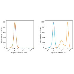 ABflo® 647 Rabbit anti-Human Siglec-8 mAb