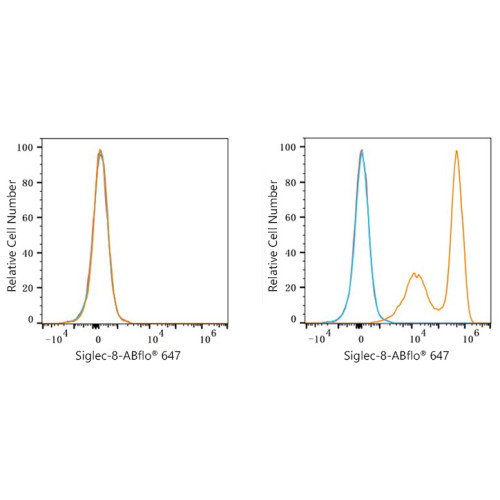 ABflo® 647 Rabbit anti-Human Siglec-8 mAb