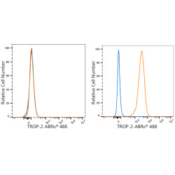 ABflo® 488 Rabbit anti-Human TROP-2 mAb
