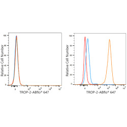 ABflo® 647 Rabbit anti-Human TROP-2 mAb