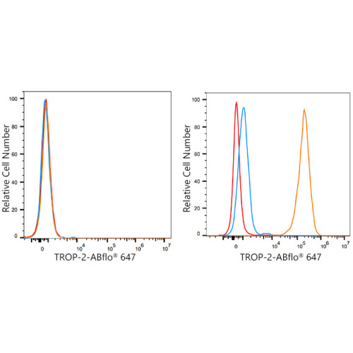 ABflo® 647 Rabbit anti-Human TROP-2 mAb