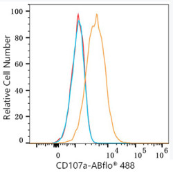 ABflo® 488 Rabbit anti-Mouse CD107a/LAMP1 mAb