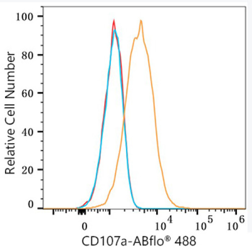 ABflo® 488 Rabbit anti-Mouse CD107a/LAMP1 mAb