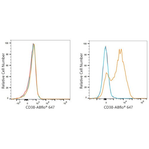 ABflo® 647 Rabbit anti-Human CD38 mAb
