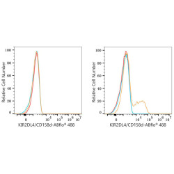 ABflo® 488 Rabbit anti-Human CD158d/KIR2DL4 mAb