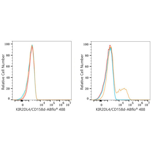 ABflo® 488 Rabbit anti-Human CD158d/KIR2DL4 mAb