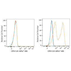 ABflo® 488 Rabbit anti-Human OPN1LW/OPN1MW mAb