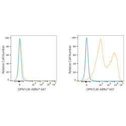 ABflo® 647 Rabbit anti-Human OPN1LW/OPN1MW mAb