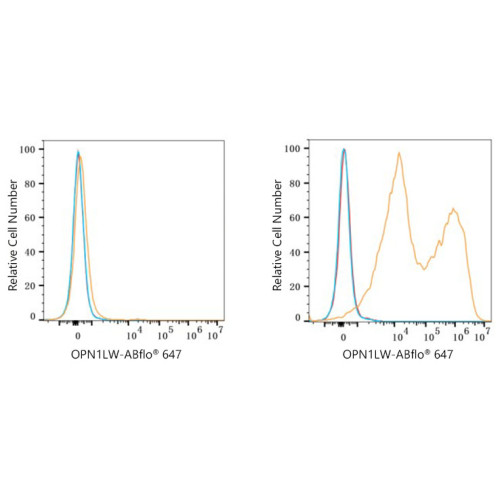 ABflo® 647 Rabbit anti-Human OPN1LW/OPN1MW mAb
