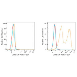 ABflo® 594 Rabbit anti-Human OPN1LW/OPN1MW mAb