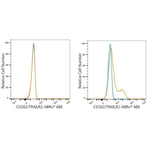 ABflo® 488 Rabbit anti-Mouse CD262/DR5/TRAILR2 mAb
