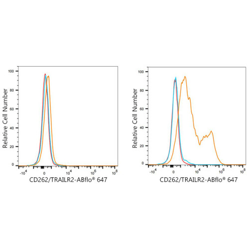 ABflo® 647 Rabbit anti-Mouse CD262/DR5/TRAILR2 mAb