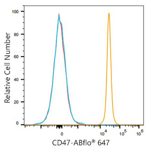 ABflo® 647 Rabbit anti-Mouse CD47 mAb