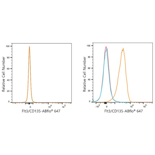 ABflo® 647 Rabbit anti-Human CD135/Flt3 mAb