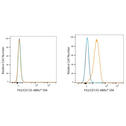 ABflo® 594 Rabbit anti-Human CD135/Flt3 mAb