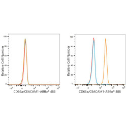 ABflo® 488 Rabbit anti-Human CD66a/CEACAM1a mAb