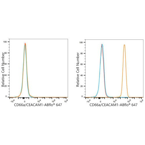 ABflo® 647 Rabbit anti-Human CD66a/CEACAM1a mAb