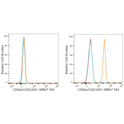 ABflo® 594 Rabbit anti-Human CD66a/CEACAM1a mAb