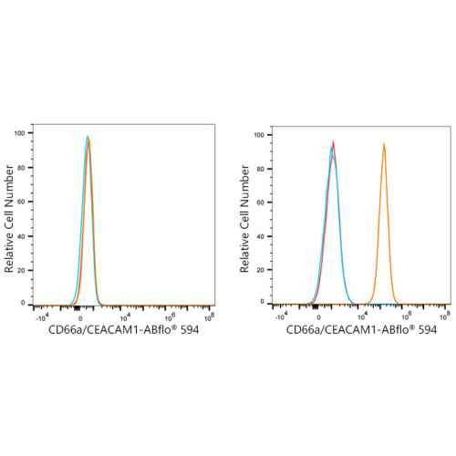 ABflo® 594 Rabbit anti-Human CD66a/CEACAM1a mAb