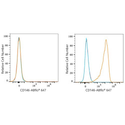 ABflo® 647 Rabbit anti-Mouse CD146 mAb
